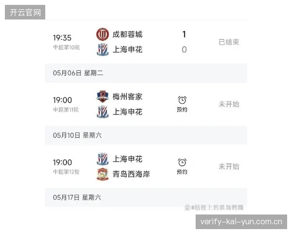 申花因核心外援特谢拉等人伤停，5月多场比赛以单外援阵容对抗对手。